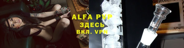 apvp Алзамай