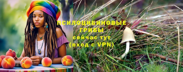 apvp Алзамай