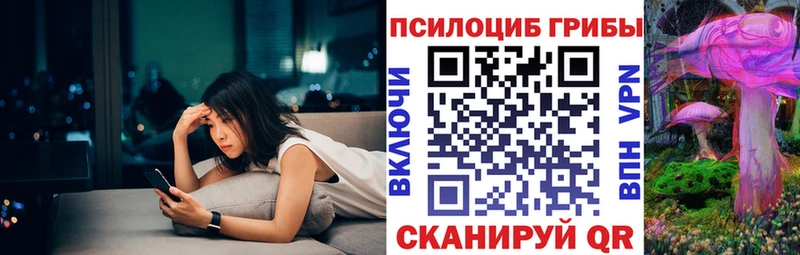 купить наркотик  Цимлянск  Галлюциногенные грибы Cubensis 